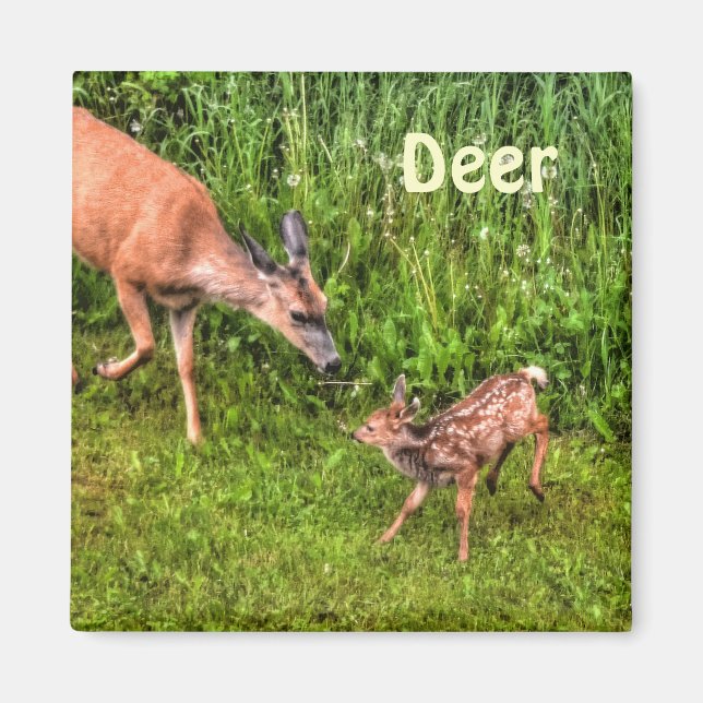 Imán Diseño de animales para la vida salvaje Deer Doe & (Frente)
