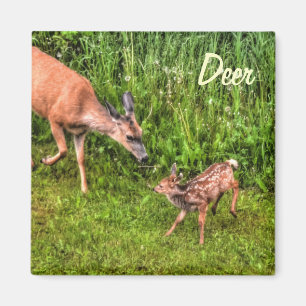 Imán Diseño de animales para la vida salvaje Deer Doe &