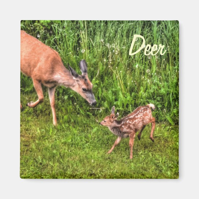 Imán Diseño de animales para la vida salvaje Deer Doe & (Frente)