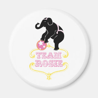 Imán diseño de equipo