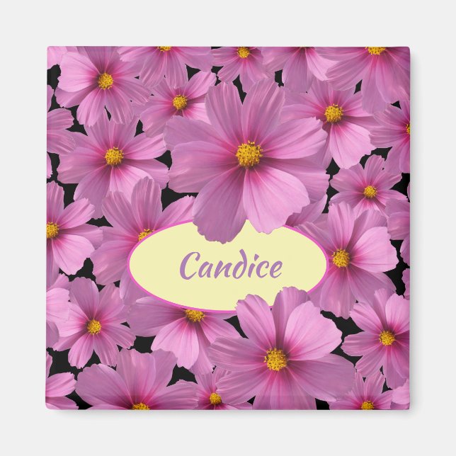 Imán Diseño de flores moradas de cosmos en un fondo neg