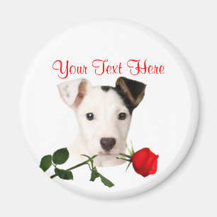 Imán Diseño de la tarjeta del día de San Valentín de