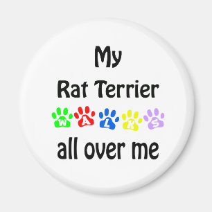 Imán Diseño de las caminatas de Rat Terrier