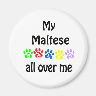Imán Diseño de las caminatas maltesas