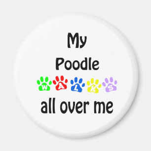 Imán Diseño de pasarelas de podle