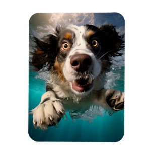 Imán Diseño de perro emocionado nadando bajo el agua