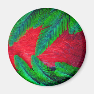 Imán diseño de pluma de Quetzal resplandeciente