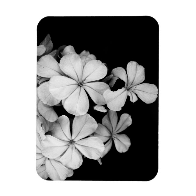 Imán Diseño de postal en blanco y negro (Vertical)
