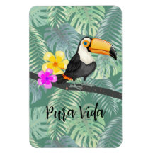 Diseño de Pura Vida Tropical Toucan