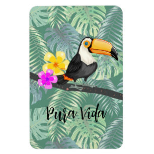 Imán Diseño de Pura Vida Tropical Toucan