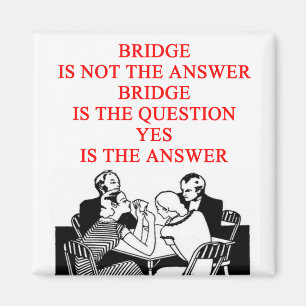 Imán diseño del jugador de puente