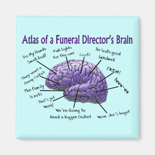 Imán Diseño divertido del cerebro del director de