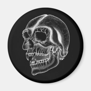 Imán Diseño en blanco y negro del cráneo de vampiros
