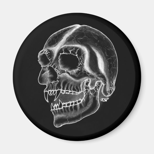 Imán Diseño en blanco y negro del cráneo de vampiros (Frente)