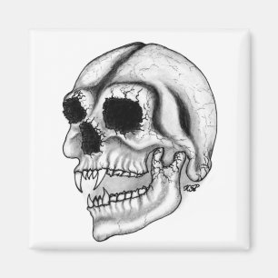 Imán Diseño en blanco y negro del cráneo de vampiros