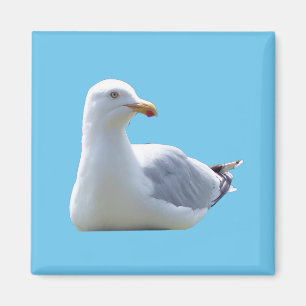 Imán Diseño encantador de gaviota descansando bajo el c