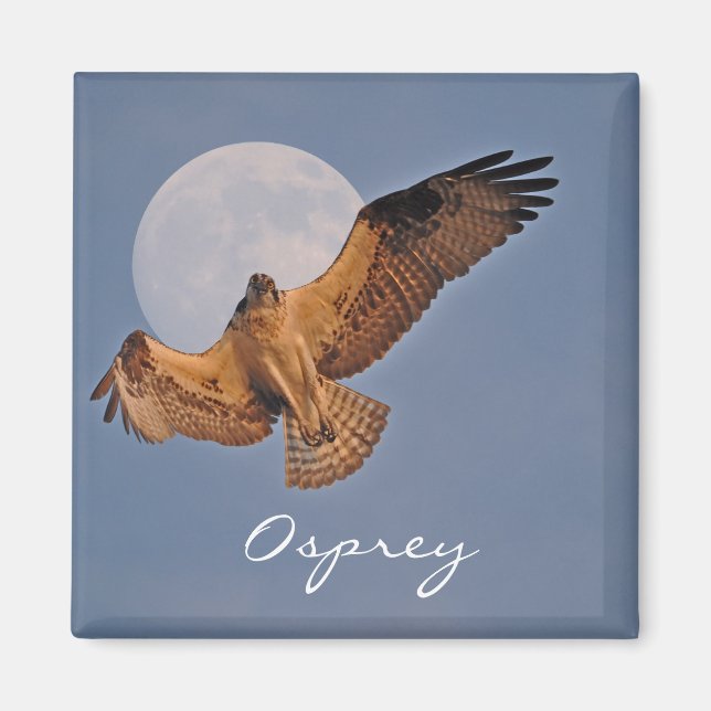 Imán Diseño fotográfico Wild Osprey y Super Moon (Frente)