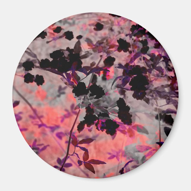 Imán Diseño gráfico de patrones de flores negras rojas (Frente)