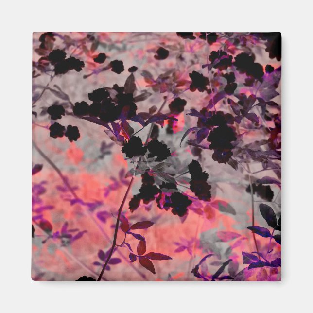 Imán Diseño gráfico de patrones de flores negras rojas (Frente)