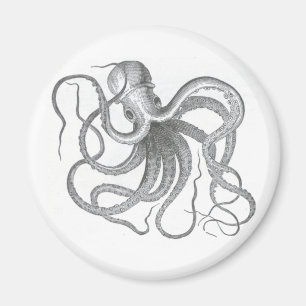 Imán Diseño náutico del vintage del pulpo del steampu