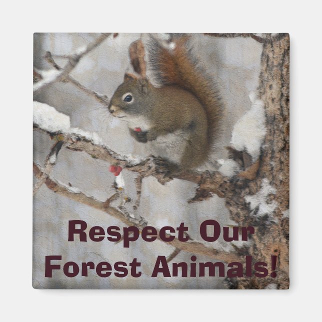 Imán Diseño navideño de ardilla de invierno, nieve y ba (Frente)