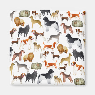 Imán Diseño pedigrí lindo del papel pintado del perro