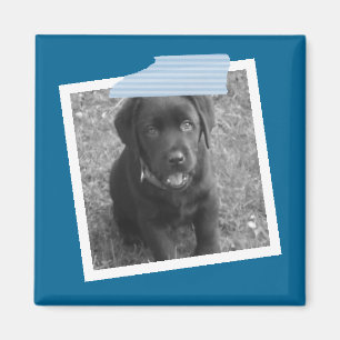 Imán Diseño personalizado de fotograma y cinta