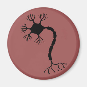 Imán Diseño simple de neuronas negras