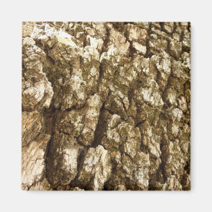 Imán Diseño texturizado natural de la barra de árbol II