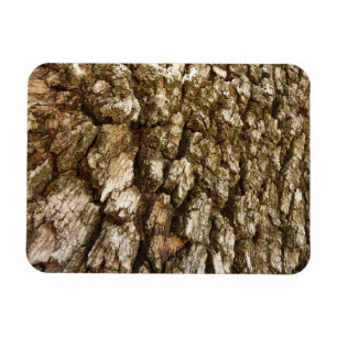 Imán Diseño texturizado natural de la barra de árbol II