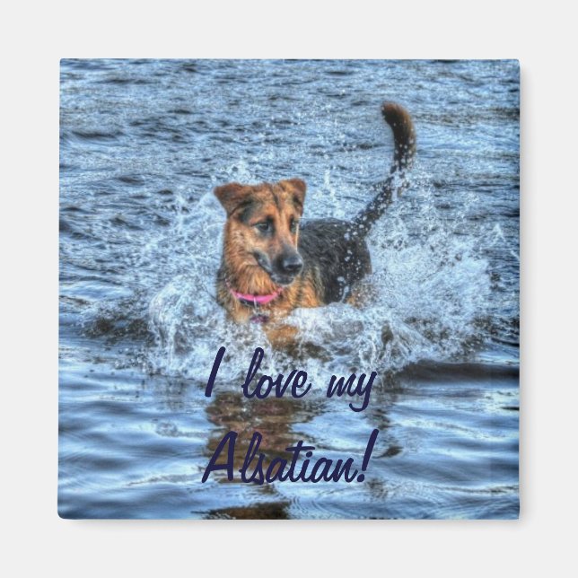 Imán Diseños de perros para amantes del Mascota (Frente)