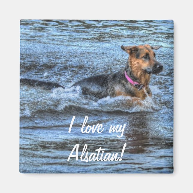 Imán Diseños de perros para amantes del Mascota (Frente)