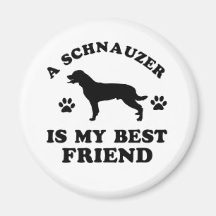 Imán Diseños del Schnauzer
