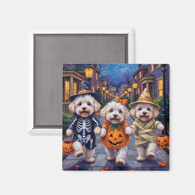 Imán Disfraces de Halloween para Bichon Frise haciendo  (Anverso/Reverso)