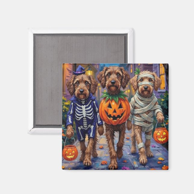 Imán Disfraces de Halloween para Griffon de pelo duro a (Anverso/Reverso)