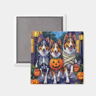 Imán Disfraces de Halloween para Rough Collie haciendo
