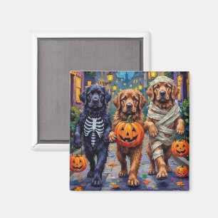 Imán Disfraces de Halloween para Trick-or-Treat de Terr