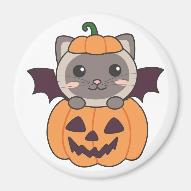 Imán Disfraz de bata de calabaza para gato de Halloween (Frente)