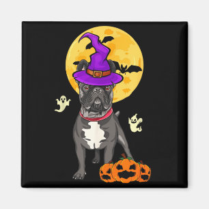 Imán Disfraz de Bruja de Halloween para Bulldog Francés