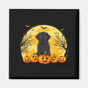 Imán Disfraz de calabazas de perro Labrador negro para