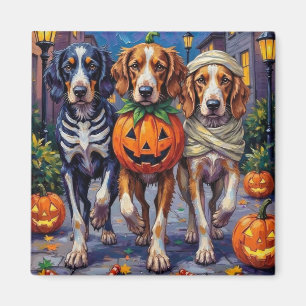 Imán Disfraz de Halloween para Trick-or-Treat de Setter