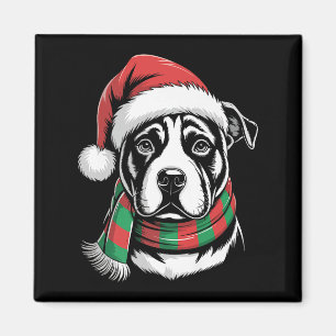 Imán Disfraz de Navidad para perro Pitbull con sombrero