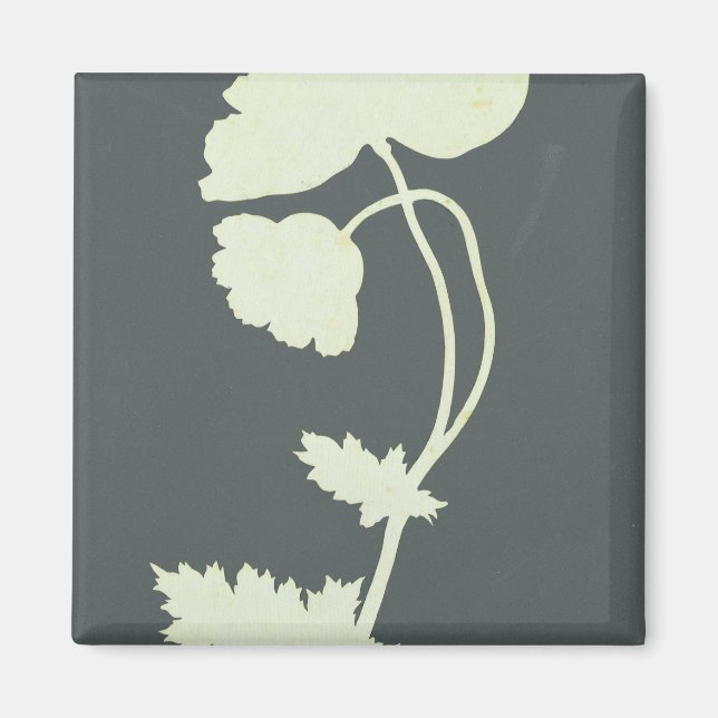 Imán Disparo (Frente)