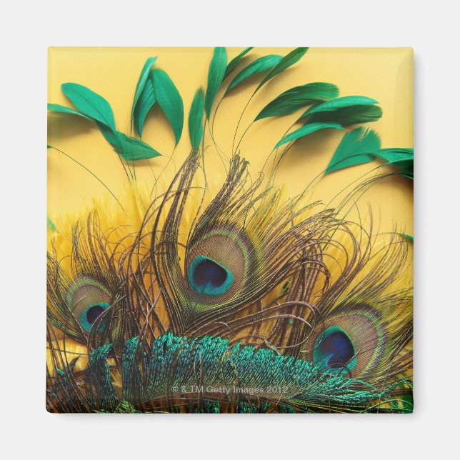 Imán Distintas plumas de pavo real (Frente)