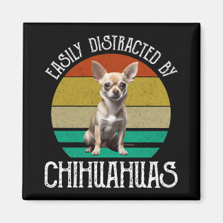 Imán Distrado Fácilmente Por Chihuahuas