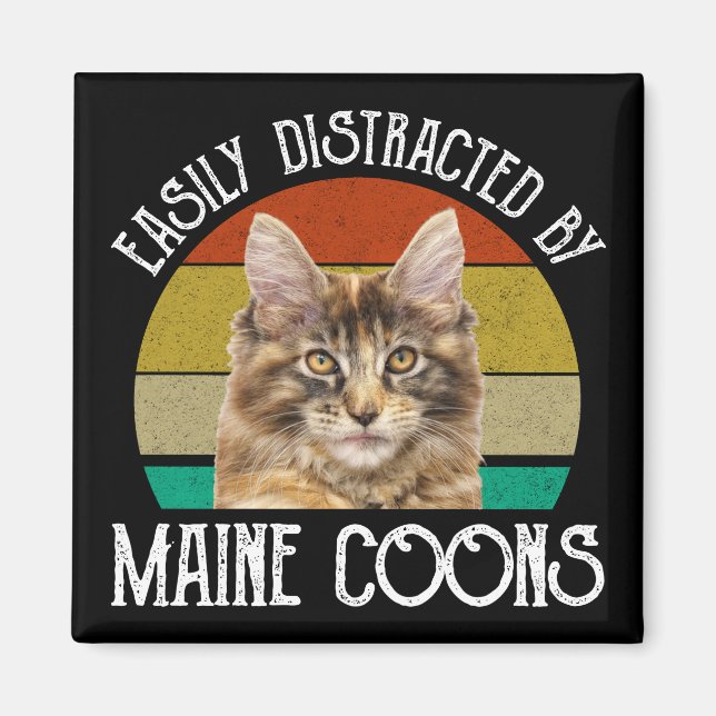 Imán Distraído Fácilmente Por Maine Coons (Frente)