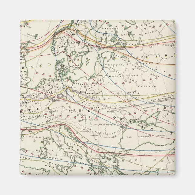 Imán distribución cultural más importante (Frente)