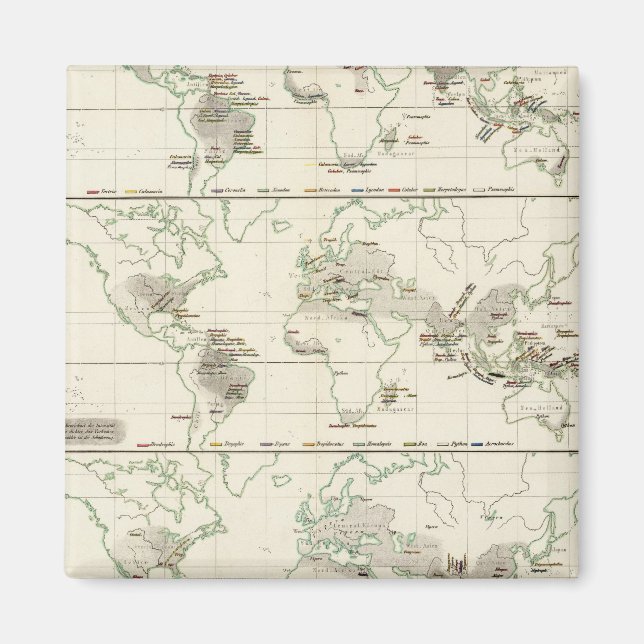 Imán Distribuciones de serpientes (Frente)