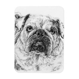 Imán DIVA Lilybug Flexible Magnet