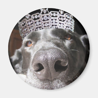 Imán Diva Magnet